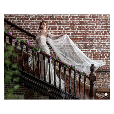 Rachelle Veil